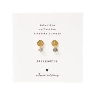 A Beautiful Story Aw30804 Mini Coin Labradorite Gp Earrings In Gold