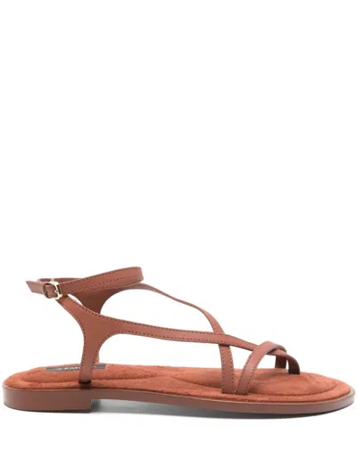 A.emery Brown Ankle Strap Sandals