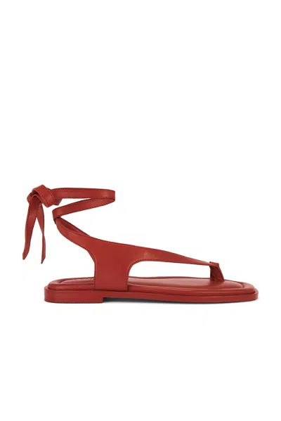 A.EMERY HEIDI SANDAL