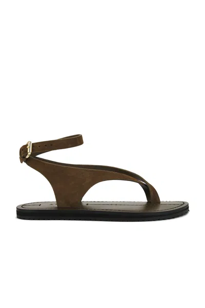A.emery Millar Sandal