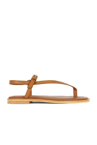 A.emery Pae Sandal In Deep Tan