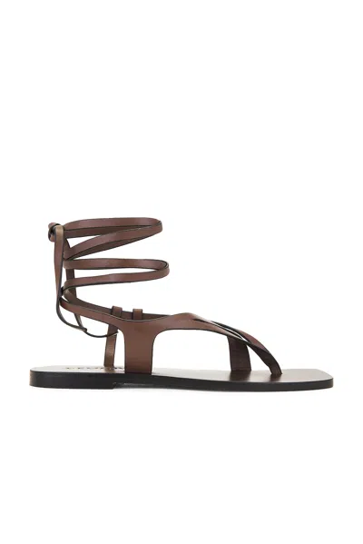 A.emery Leather Wrap Shel Sandals In Black