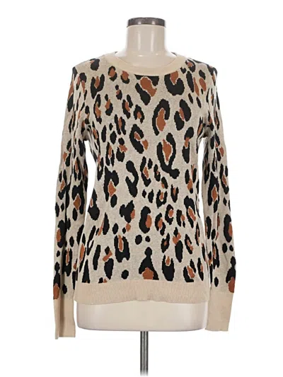 A New Day Pullover Sweater In Brown