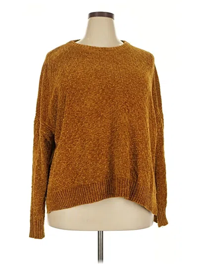 Pre-owned A New Day Pullover Sweater In Brown