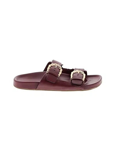 Pre-owned A New Day Sandals In Burgundy