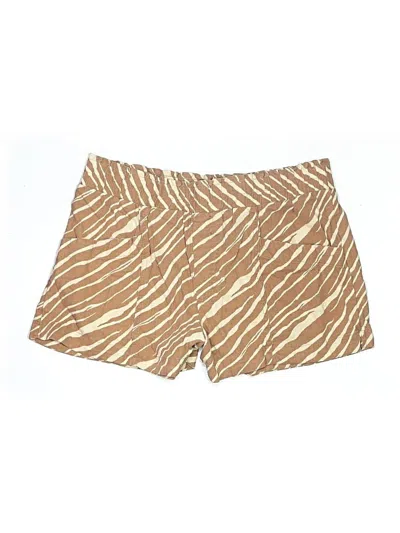 Pre-owned A New Day Shorts In Brown