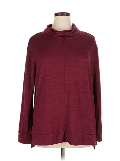 Pre-owned A New Day Turtleneck Sweater In Burgundy
