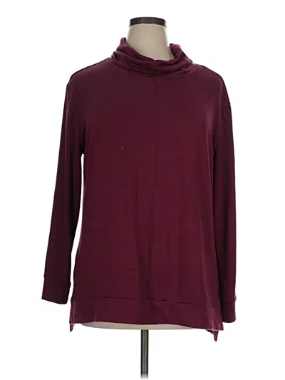 Pre-owned A New Day Turtleneck Sweater In Burgundy