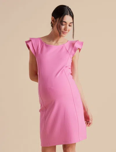 A Pea In The Pod Tiered Ruffle Sleeve Ponte Knit Sheath Maternity Dress In Pink