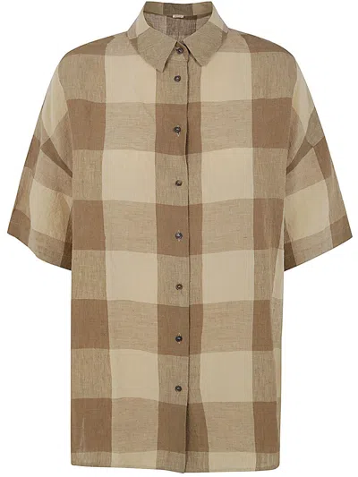 A Punto B P1751.ts787 In Brown