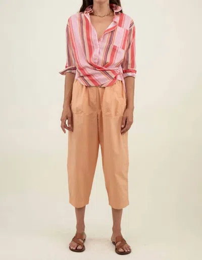 A Shirt Thing Duke Small Stripe Shirt In Tan In Pink