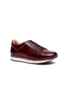 A. Veer Brooklyn Sneaker In Brown