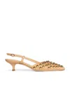 A.w.a.k.e. Rita Small Studded Leather Slingback Kitten Heels In Neutral