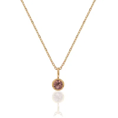 A Weathered Penny Women's Gold / Pink / Purple Gold Birthstone Necklace - October