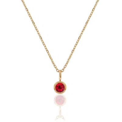A Weathered Penny Women's Gold / Red Gold Birthstone Necklace - January In Multi