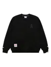 Aape By A Bathing Ape Appliqué Graphic-print Sweatshirt In Black