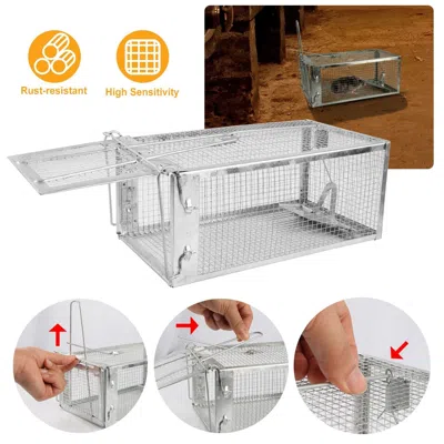 Aapo Rat Trap Cage Humane Live Rodent Trap Cage Galvanized Iron Mice Mouse Control Bait Catch With Detach In Transparent