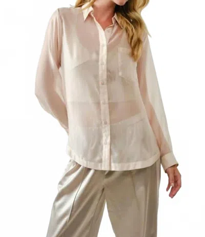 Aaron & Amber Organza Sheer Oversized Shirt In Soft Pink In Neutral