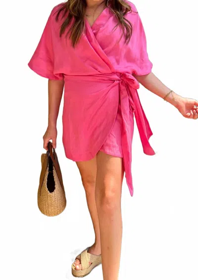 Aaron & Amber Pretty In Mini Dress In Pink In Multi