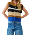 Aaron & Amber Women's Striped Sweater Vest In Brown Multi In Multi