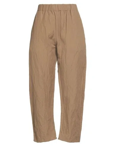 A.b  Apuntob A. B Apuntob Woman Pants Light Brown Size L Cotton, Virgin Wool, Metallic Fiber In Beige