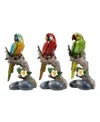 Ab Home Macaw On Branch, Set Of 3 In Brown
