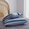A.b. Striped Microfiber Pillowcase In Blue;white