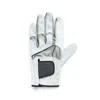 Abacus Sportswear Us Men's Abacus All Weather Glove In White/grey In Multi