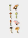 Abask Decorations Psychedelic Mushrooms Hand-blown Glass Clip-on Tree Decorations (set Of 8) In Multi