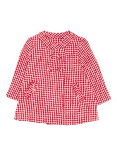 Abel & Lula Babies' Ginghan Check-pattern Jacket In Red