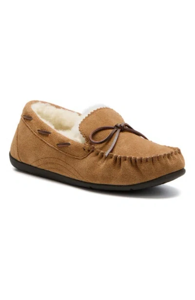 Abeo Amble Bow In Tan - Regular