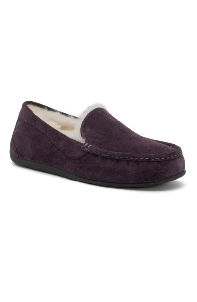 Abeo Amble Slipper In Dark Purple - Regular