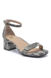 Abeo Avenue Strap Heels In Snake Print - Regular