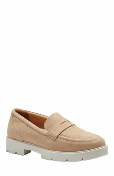 Abeo Boulevard Loafer In Brown