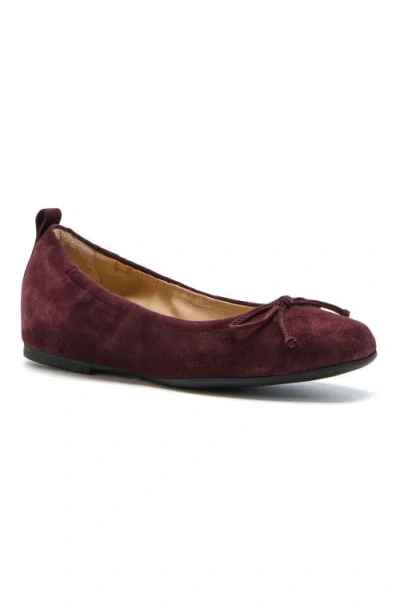 Abeo Cadence Bow Ballet Flat In Burgundy - Metatarsal