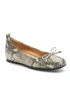 Abeo Cadence Bow Ballet Flat In Snake Print - Metatarsal
