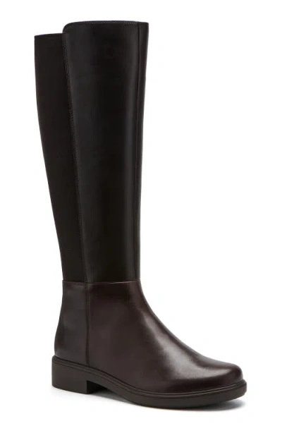 Abeo Compass Stretch In Dark Brown - Regular