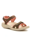 Abeo Goleta In Brown