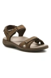 Abeo Goleta In Brown - Regular