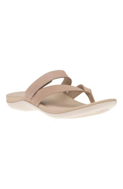 Abeo Oasis Thong Sandal In Roebuck - Regular