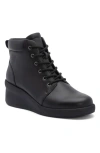 Abeo Passage Lace Up Boot In Black - Regular