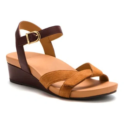 Abeo Riviera Ii Buckle Sandal In Brown