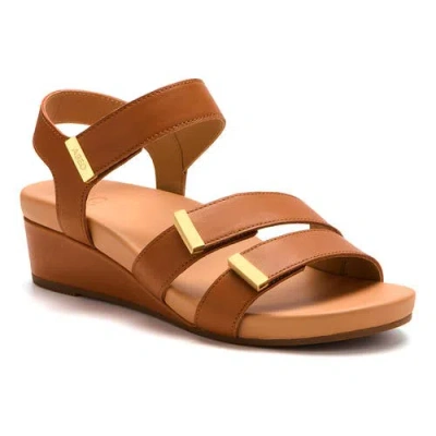 Abeo Riviera Ii Strap Sandal In Brown