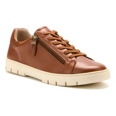 Abeo Roam Lacesneaker In Brown