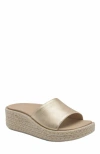 Abeo Solstice Slide In Gold