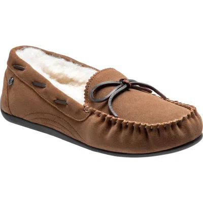 Abeo Vancouverslippers In Brown