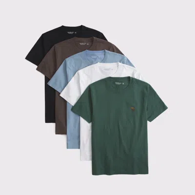 Abercrombie & Fitch 5-pack Slim Polished Signature Icon Tees In Multi