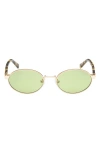 Abercrombie & Fitch 51mm Oval Sungalsses In Green