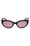 Abercrombie & Fitch 52mm Cat Eye Sunglasses In Purple