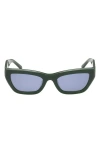 Abercrombie & Fitch 52mm Cat Eye Sunglasses In Neutral